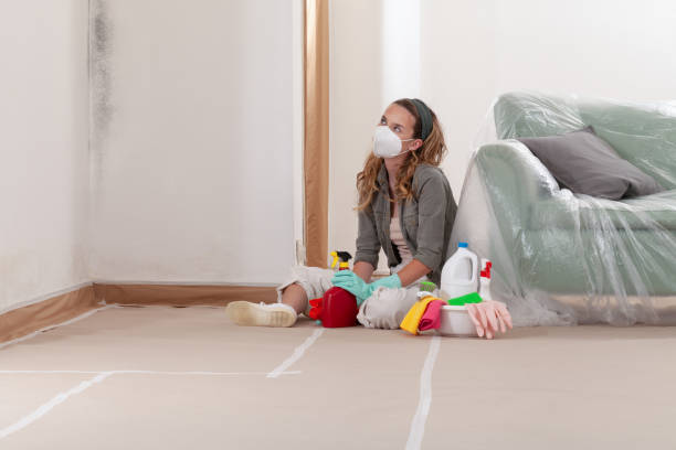 Reliable Mold Testing contractor in Portage, PA by WQB Mold Removal